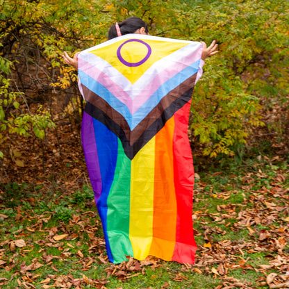 Updated Inclusive Pride Flag