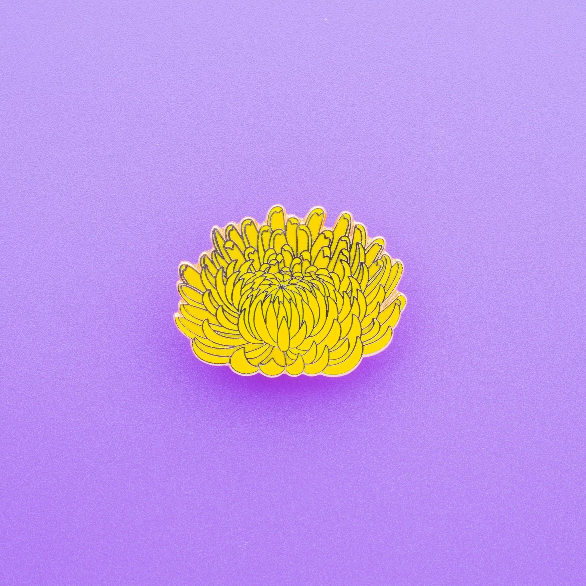 Chrysanthemum - MUKA